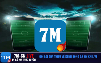 7msport.one - Cập Nhật Tỷ Số Bóng Đá Online, Xem Kèo Uy Tín